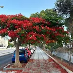Veliero En Costa Sol M13 Costa Del Silencio