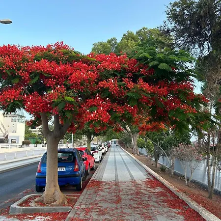 Veliero En Costa Sol M13 طوستا ديل سيلونثيو